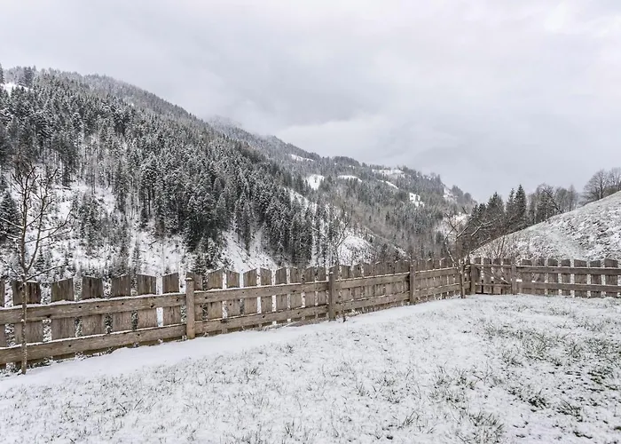 Mit Blick Auf Berge